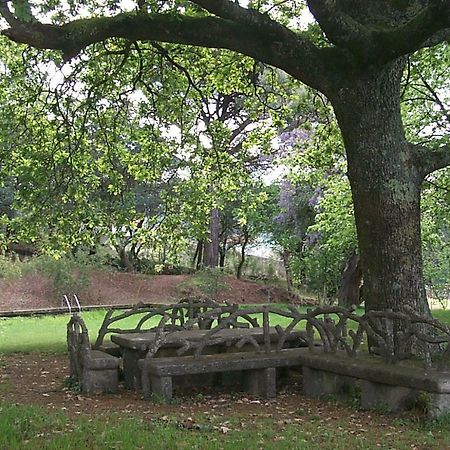 Vila Guiomar - Casa Da Eira อัลวาเรนกา ภายนอก รูปภาพ