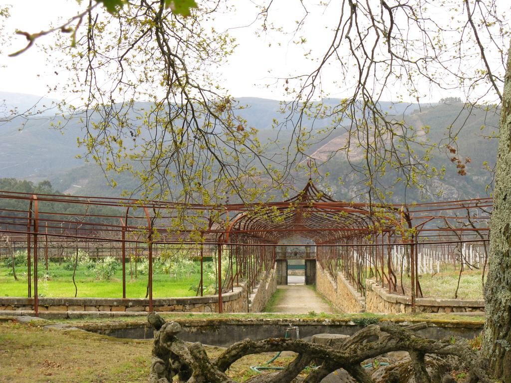Vila Guiomar - Casa Da Eira อัลวาเรนกา ภายนอก รูปภาพ